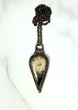 Fossil Palm Root Amulet