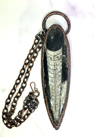 Ancient Transformation Fossil Amulet